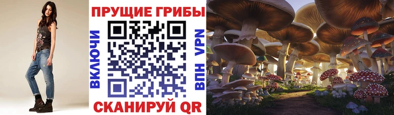 Купить закладки  Стрежевой  Псилоцибиновые грибы прущие грибы 